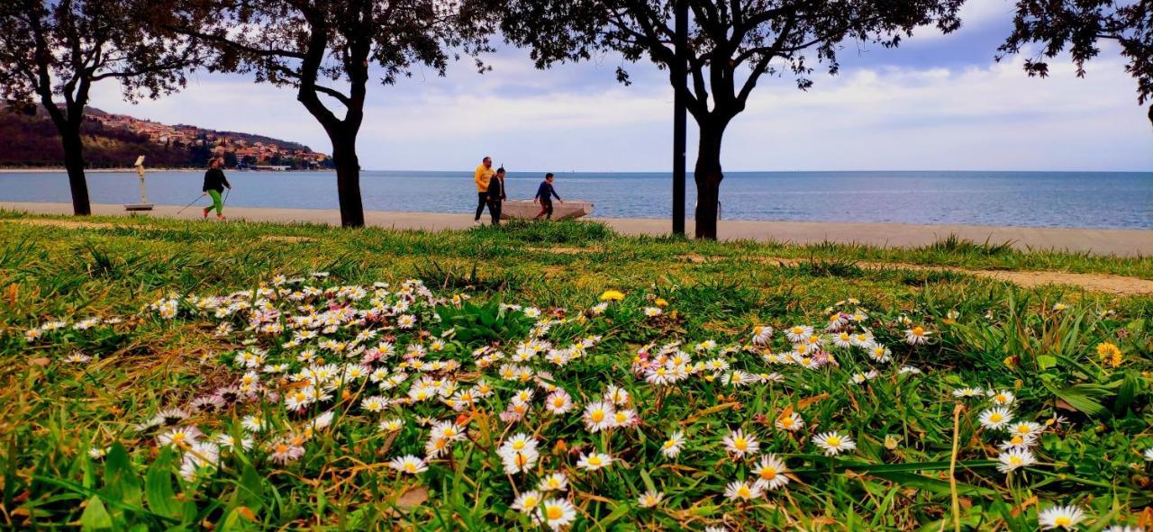 Sea Sun & Me Apartment コペル エクステリア 写真